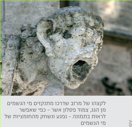 לקצהו של מרזב שדרכו מתנקזים מי הגשמים מן הגג, צמוד פסלון אשר – כפי שאפשר לראות בתמונה – נפגע ונשחק מהחומציות של מי הגשמים